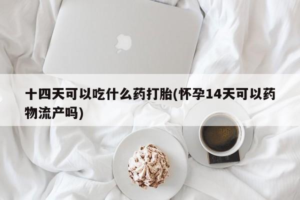 私人打胎药专卖联系微信十四天可以吃什么药打胎(怀孕14天可以药物流产吗)